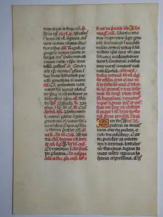Manuscript - Original leaf from a latin breviary. - 1485