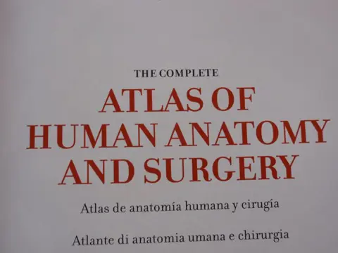 Marc Bourgery Jean Baptiste - Atlas van Anatomie en chirurgie - 2000