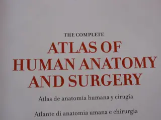 Marc Bourgery Jean Baptiste - Atlas van Anatomie en chirurgie - 2000