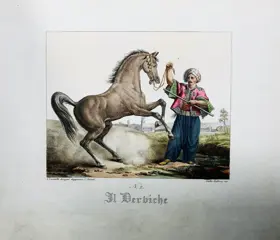Antonio Locatelli - Collezione d'Incisioni appartenenti all'opera del Perfetto Cavaliere [Atlante] - 1827