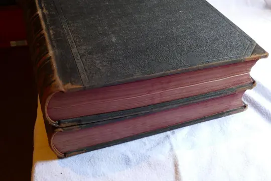 Gustav Dore - Doré-Bibel: Die Heilige Schrift Alten und Neuen Testaments - 1868/1868