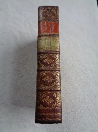 Hedendaagsche historie of tegenwoordige staat der Vereenigde Nederlanden, in het byzonderDrenthe - 1795