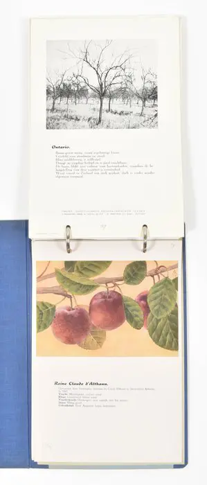 A. Beeftink & R. Lijsten - Nederlandse fruitsoorten - 1944