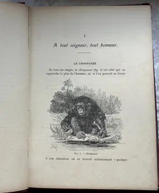 Henri Coupin / Henri Fabre - Singes et singeries, Histoire anecdotique des singes - La zoologie - 1907