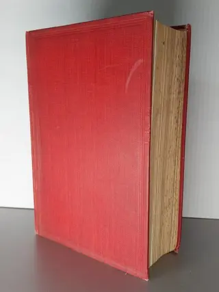 Dorothy Stanley - The Autobiography of Henry M. Stanley - 1914