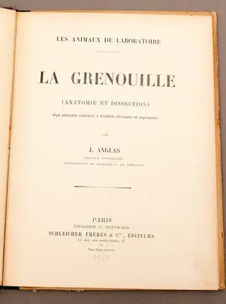 J. Anglas - La Grenouille (Anatomie et Dissection) - 1903