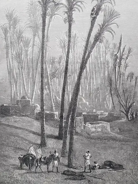 Paul Bory - Les Explorateurs de l'Afrique. Nachtigal, Gallieni, Stanley, De Brazza etc - 1889