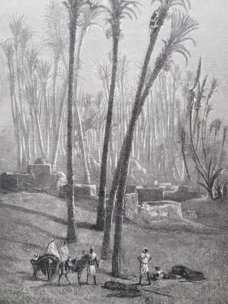 Paul Bory - Les Explorateurs de l'Afrique. Nachtigal, Gallieni, Stanley, De Brazza etc - 1889