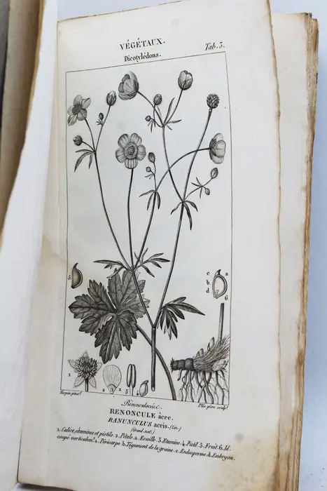 M. Orfila - Leçons De Médecine Légale - Planches - 1828