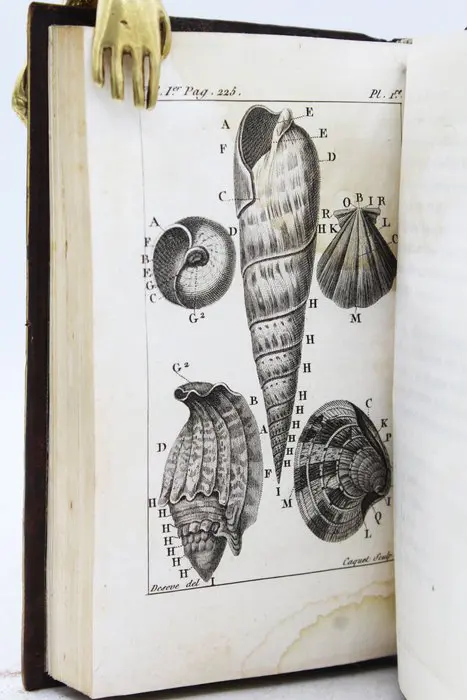 L.A.G. Bosc - Histoire Naturelle Des Coquilles - 1801