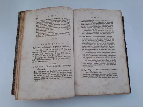 J.J. Schott - Schmetterlingskalender - 1830