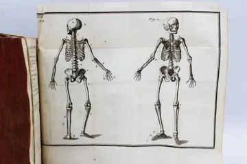 Heister - L'Anatomie D'Heister Avec Des Essais De Physique Sur L'Usage Des Parties du Corps Humain - 1753