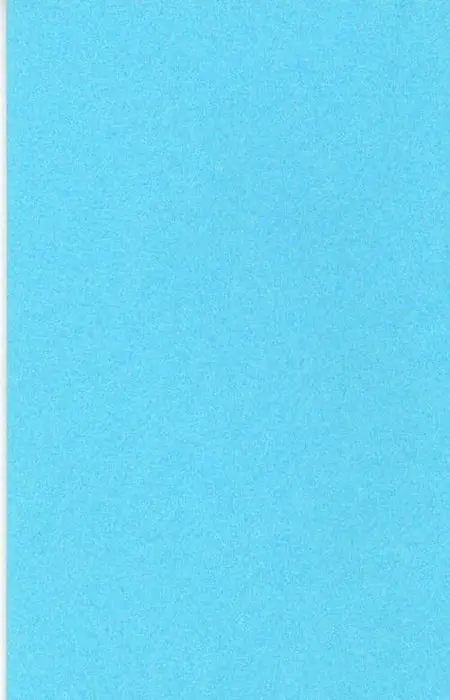 Jan Wolkers - Waar je valt daar lig je - 2006