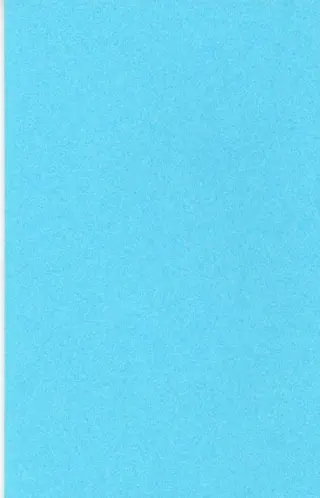 Jan Wolkers - Waar je valt daar lig je - 2006