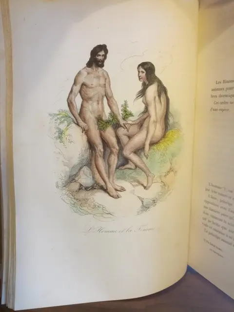 Buffon - D'Orbigny / Victor Adam - Keepsake d'histoire naturelle. Description des mammifères - 1840