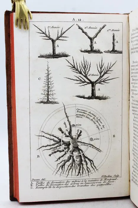 SN - Nouveau Dictionnaire D'Histoire Naturelle, Appliquée Aux Arts - 1803
