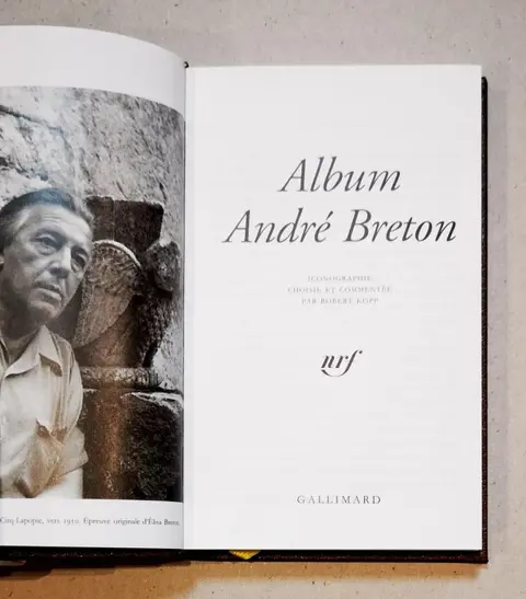 Yvan Leclerc & Robert Kopp - Album Breton et Album Flaubert - 2008/2021
