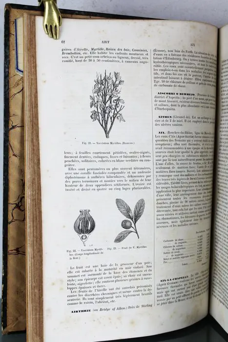 Dujardin-Beaumetz - Dictionnaire De Thérapeutique, de Matière Medicale, de Pharmacologie, de Toxicologie Et Des Eaux... - 1883
