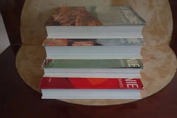 R. Lejeune et J. Stiennon - La Wallonie, le Pays et les Hommes. Lettres, Art, Culture - 1977/1981