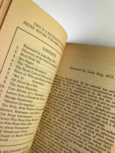 Michael Leigh - The Velvet Underground - 1964