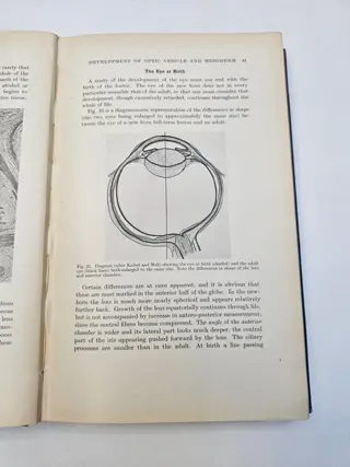 Ida C. Mann - The development of the human eye - 1928