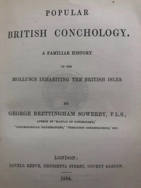 George B. Sowerby. - Popular British Conchology. {20 hand coloured} - 1854