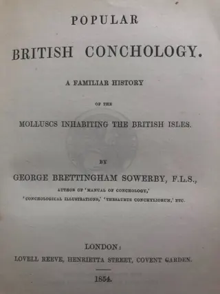 George B. Sowerby. - Popular British Conchology. {20 hand coloured} - 1854