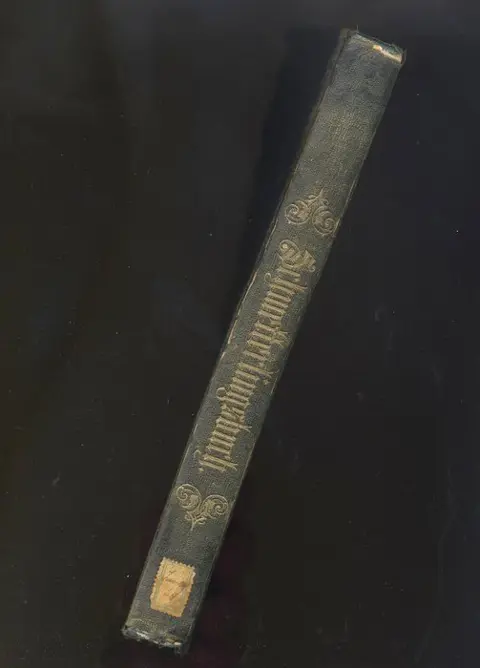 F. Berge - Schmetterlingsbuch - 1851