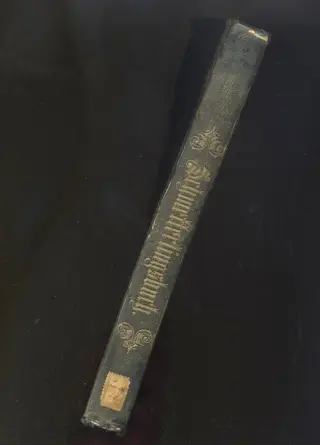 F. Berge - Schmetterlingsbuch - 1851