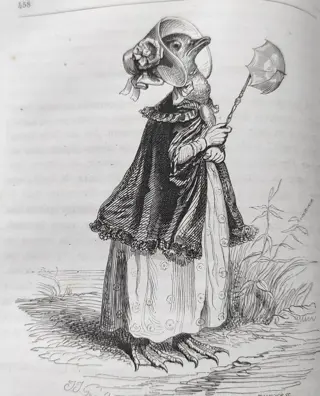 Grandville - Vie privée et publique des animaux - 1867