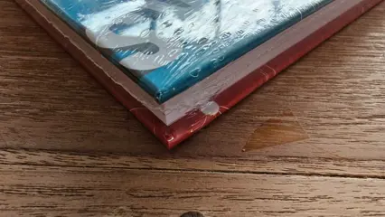 Rik Ringers - Integraal 1 - Luxe met linnen rug + gesigneerde prent - Hardcover - Eerste druk - (2021)