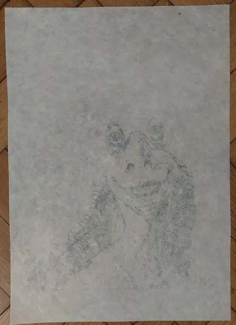 Wildfang, Emma - Limited Edition 1/5 - Jar Jar Binks - Japan series "sketches" - Size: 30 x 42 cm.B - (2023)