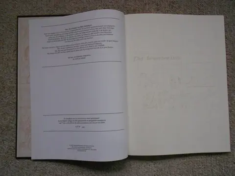 Suske en Wiske - De Breinbrekers - Grootformaat album - Hardcover - Eerste druk - (2004)
