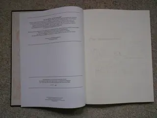 Suske en Wiske - De Breinbrekers - Grootformaat album - Hardcover - Eerste druk - (2004)