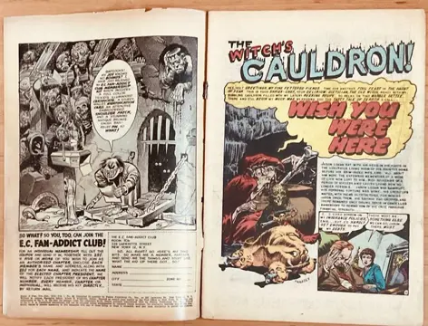 The Haunt Of Fear #22 - EC Comics - No Reserve - Geniet - (1953)