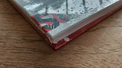 Rik Ringers - Integraal 2 - Luxe met linnen rug + gesigneerde prent - Hardcover - Eerste druk - (2021)