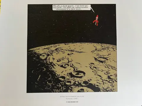 Tintin - Ensemble complet de 102 tirés à part Moulinsart - (2010/2011)