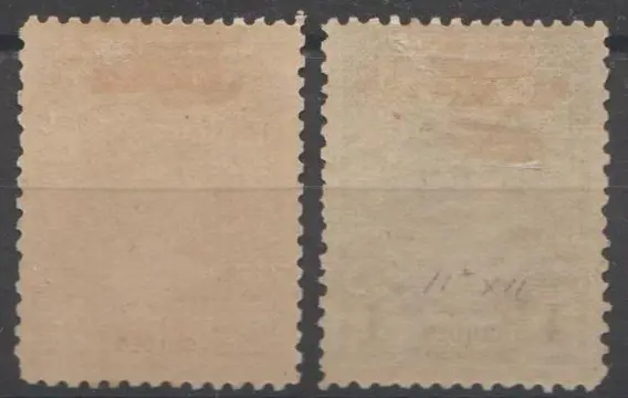 Nederland 1906 - Koningin Wilhelmina 'Bontkraag' - NVPH 77C + 78C