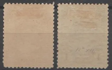 Nederland 1906 - Koningin Wilhelmina 'Bontkraag' - NVPH 77C + 78C