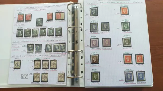 Frankrijk 1945/1959 - Collection on page of albums MNH
