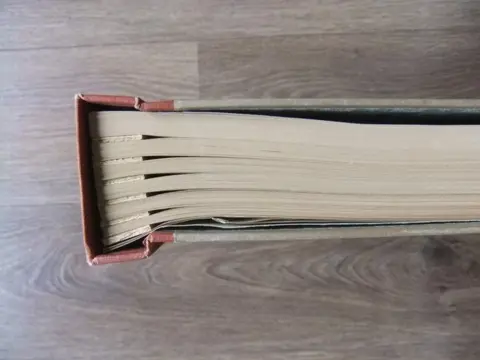 Accessoires 1840/1927 - Schaubek wereld album in absolute nieuwstaat !