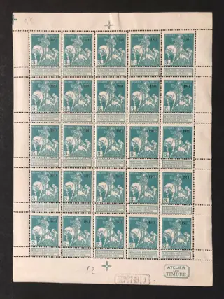 België 1911/1911 - Caritas Opdruk "1911" - 5c+10c in Beide Types in VOLLEDIG VEL - POSTFRIS - OBP F96/99