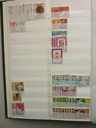 België 1960/2004 - Voorraad albums in 2 dikke stockboeken.