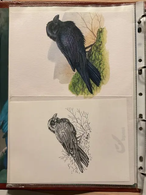 België - Prachtig opgezette verzameling "VOGELS VAN BUZIN" - 110 foto's in de veiling