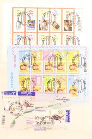 Nederland 2002/2009 - Verzameling Eurozegels met o.a. velletjes en blokken