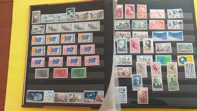 Frankrijk 1940/1980 - A lot of 2 mint** binders, a few ‘char’ in the first binder