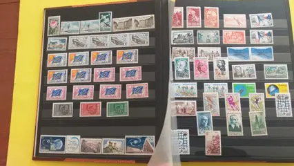 Frankrijk 1940/1980 - A lot of 2 mint** binders, a few ‘char’ in the first binder