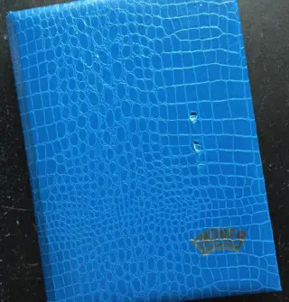 Duitse Rijk 1850/1956 - Staten - Bezetting gebieden -Zones Etc. In 5 stokboeken, albumbladen.