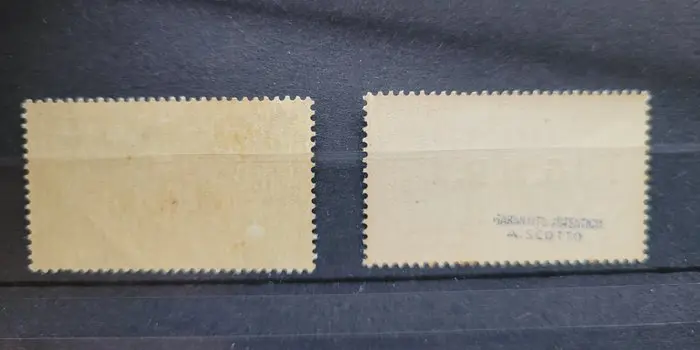 Italië 1944 - RSI, GNR overprinted express mail