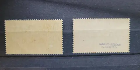 Italië 1944 - RSI, GNR overprinted express mail